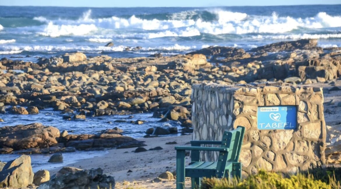 Die Eiland Stilbaai West (17)