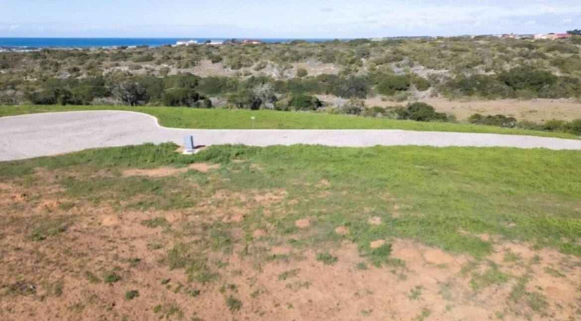 Die Eiland Stilbaai West (9)