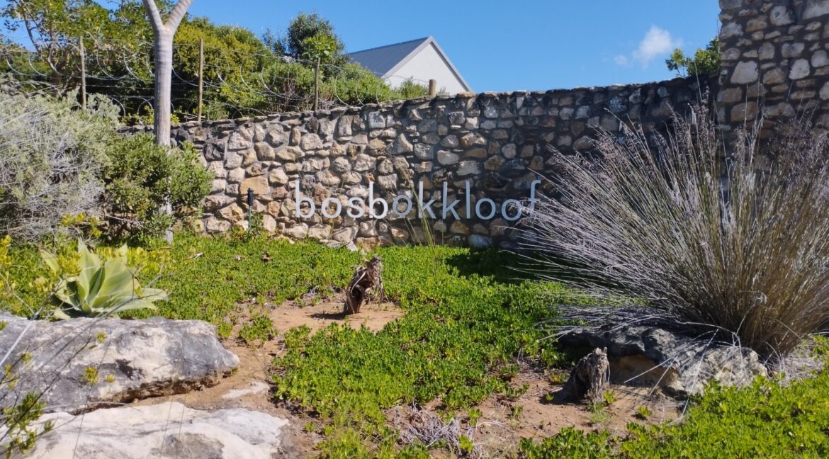 13 Bosbokkloof, Stilbaai-West - JCA Properties (1)