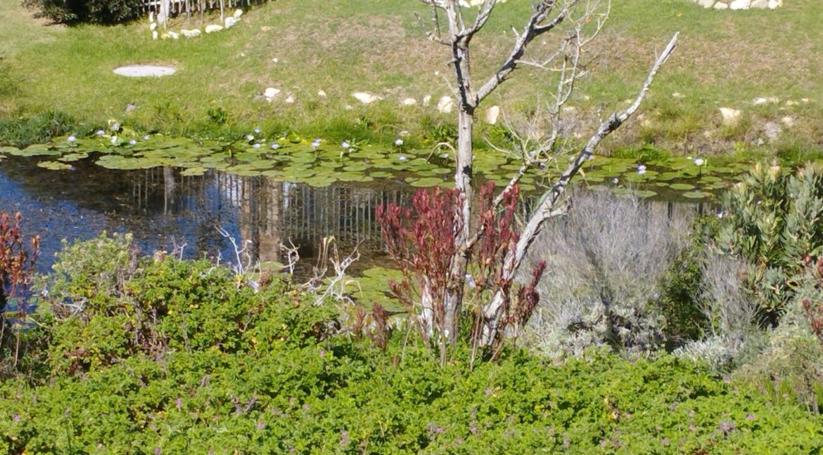 13 Bosbokkloof, Stilbaai-West - JCA Properties (2)