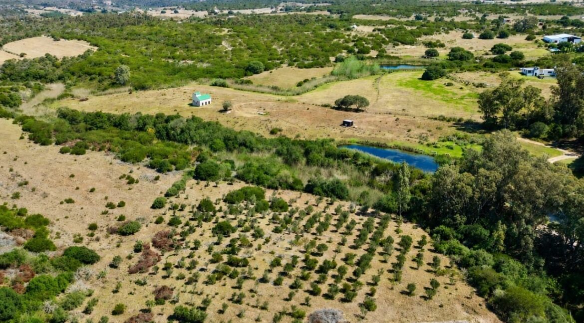 Farm for Sale in Stilbaai - JCA Properties (43)