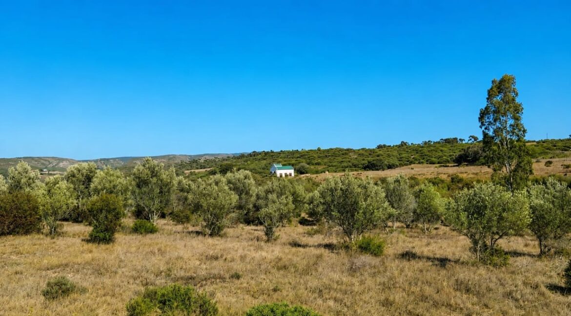 Farm for Sale in Stilbaai - JCA Properties (9)