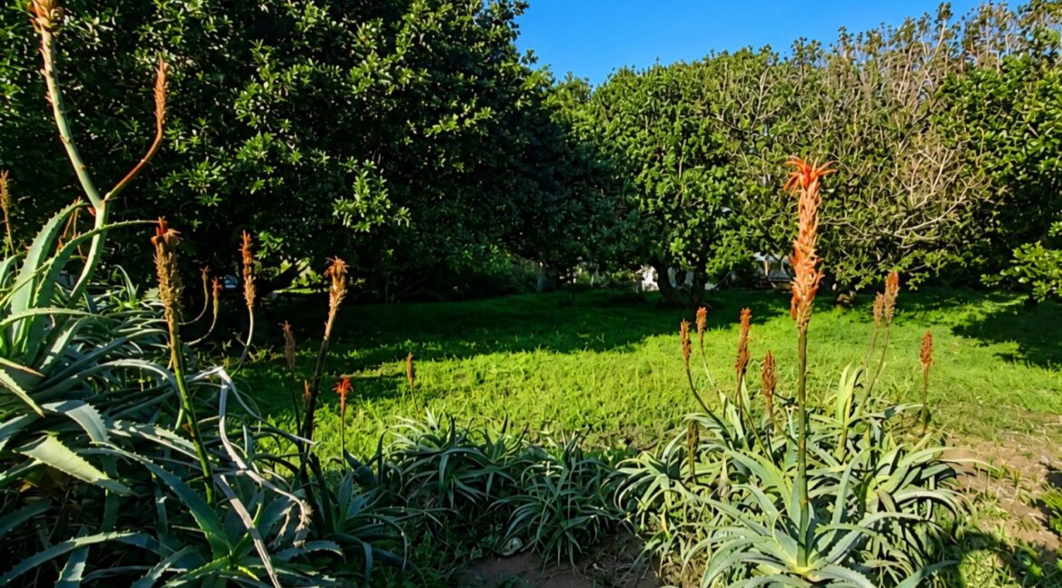 2 Kreupelhout Stilbaai-West, JCA Properties (14)